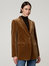Bild von Blazer aus Samt QUADRO