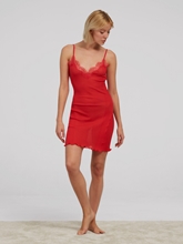 Bild von Unterkleid mit Spitze