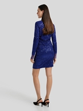 Bild von Kleid mit Pailleten