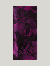 Image sur Etole avec jacquard