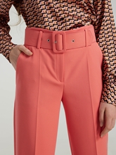 Bild von Bundfaltenhose im Regular Fit