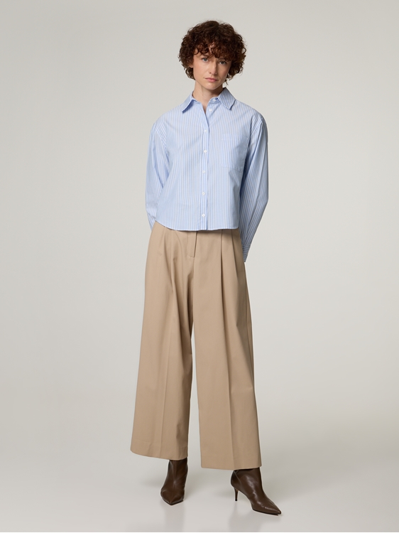 Image sur Bundfalten Hose