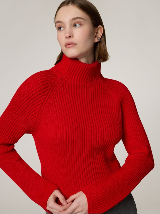 Bild von Pullover aus Wolle