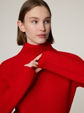 Bild von Pullover aus Wolle