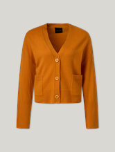 Bild von Strickjacke aus Kaschmir