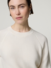 Image sur Pull en coton FOVILA