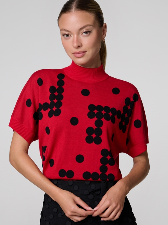 Bild von Stehkragen Pullover