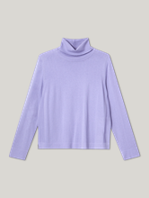 Bild von Rollkragenpullover