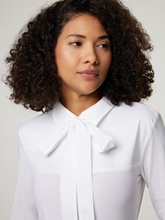 Bild von Schluppenbluse