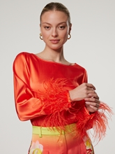 Bild von Bluse mit Federn