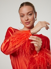 Bild von Bluse mit Federn