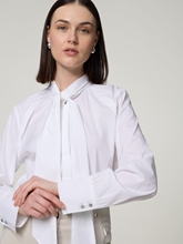 Bild von Schluppenbluse