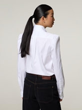 Bild von Schluppenbluse