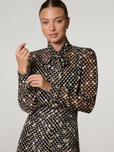 Bild von Schluppenbluse