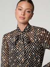 Bild von Schluppenbluse