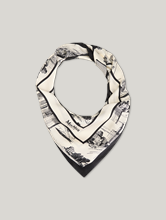 Image sur Foulard en soie