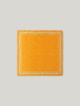 Image sur Foulard en soie