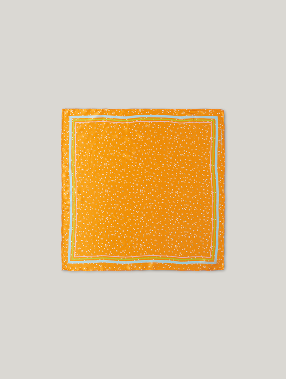 Image sur Foulard en soie