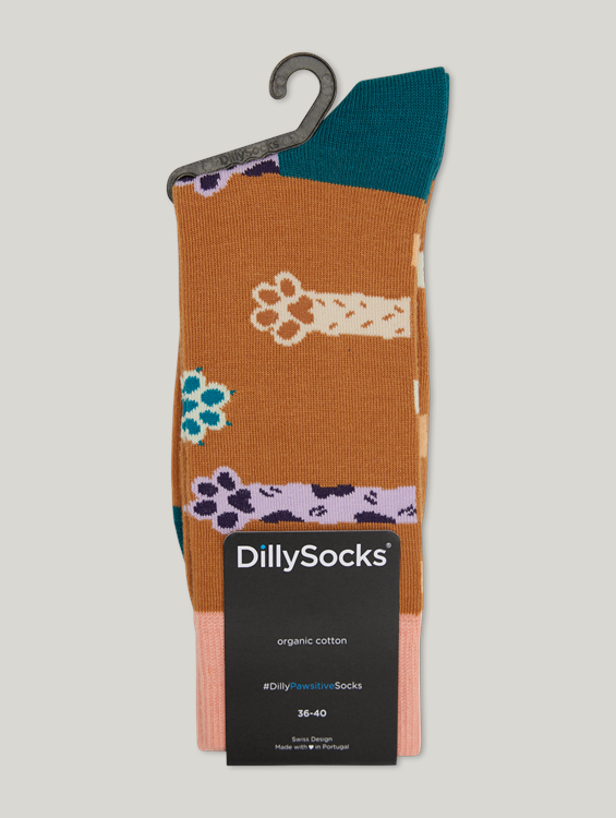 Bild von Socken