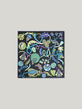 Image sur Foulard en soie