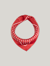 Image sur Foulard en soie