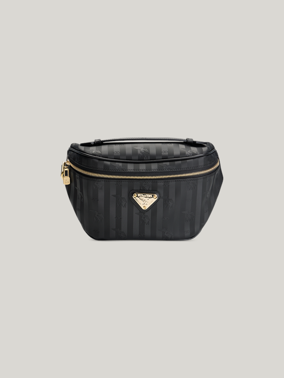 Bild von Gürteltasche aus Canvas BRIENZ