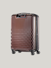 Image sur Valises TROLLEY M