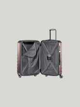 Image sur Valises TROLLEY M