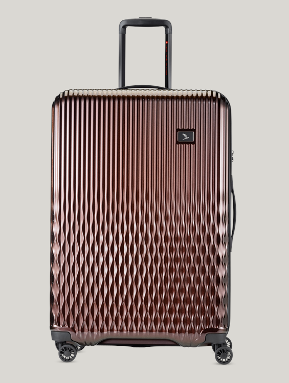 Image sur Valise TROLLEY L