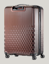 Image sur Valise TROLLEY L