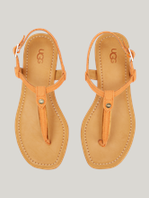 Bild von Riemensandale