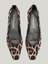 Bild von Ballerinas ALINA