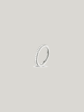 Bild von Ring 1044