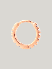 Bild von Kreolen TAILLY