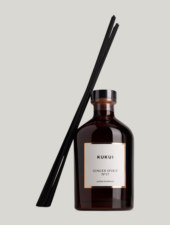 Bild von Stick-Diffusor GINGER SPIRIT