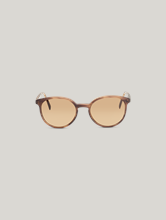Bild von Sonnenbrille THE ACADEMIC