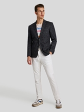 Image sur Veston Slim Fit