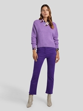 Bild von Colourdenim mit Babyflare